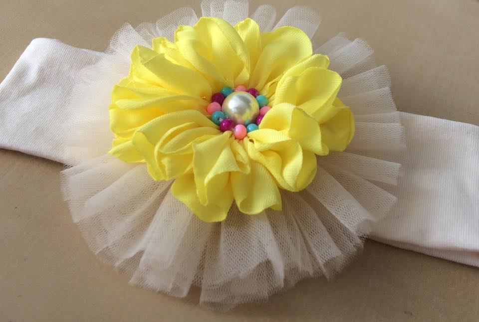 13233041_273858429627249_6406326900240170835_n