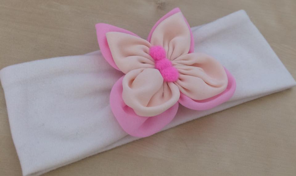 17458422_434936976852726_7131399823664518067_n