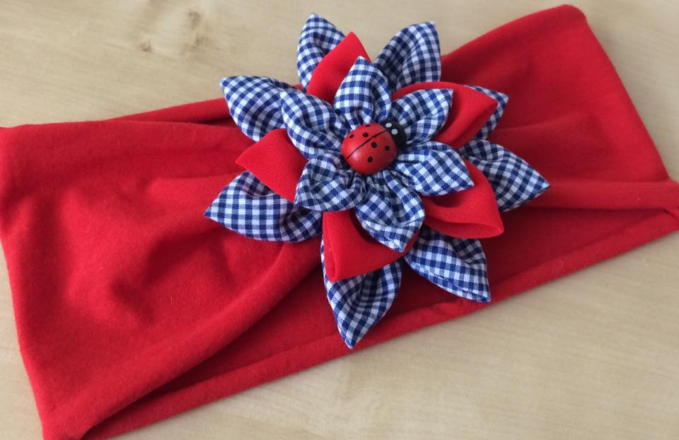 20663617_503983149948108_5722256287064155370_n